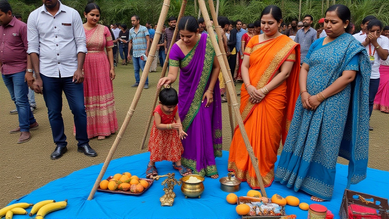 Pongal 2025 Begins in Tamil Nadu as Farmers Honor Sun God, Cattle, and Harvest Traditions